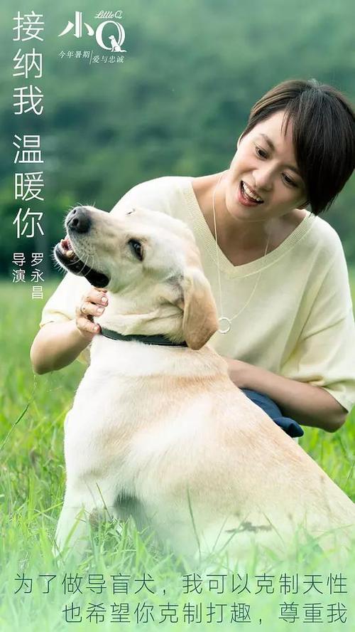 纳瓦拉大学证书办理